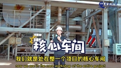 Pabrik Pembakaran Limbah Pengolahan dan Penghapusan / Pembakaran Limbah 380V/220V